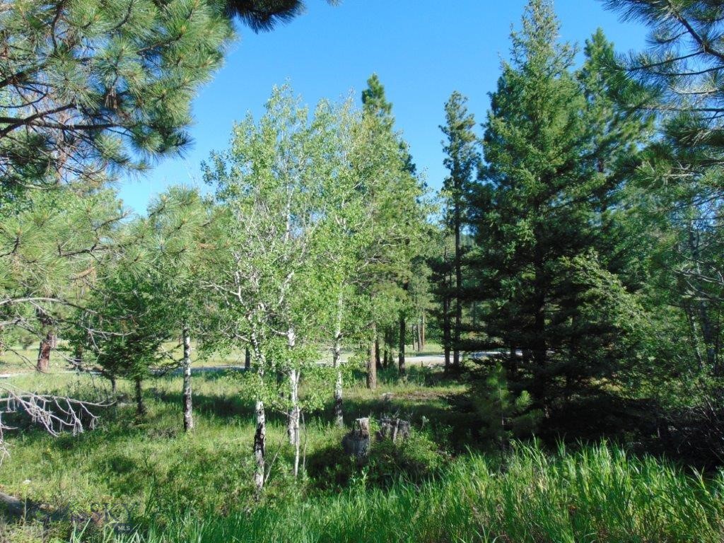 4615 Abe Lincoln Property Photo 89
