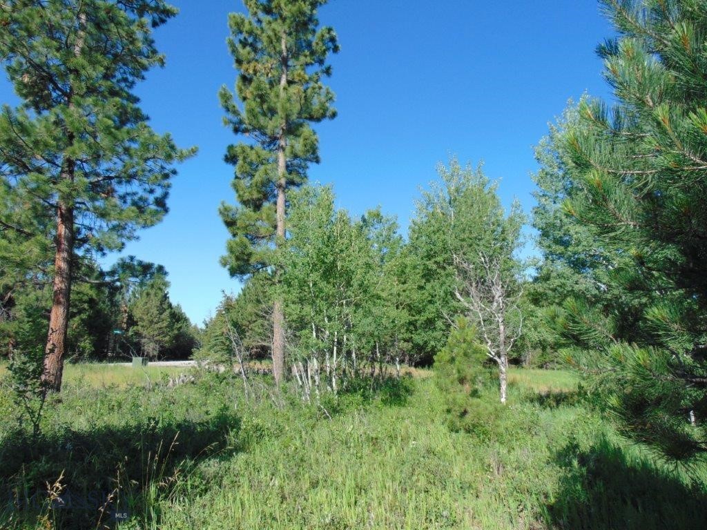 4615 Abe Lincoln Property Photo 90