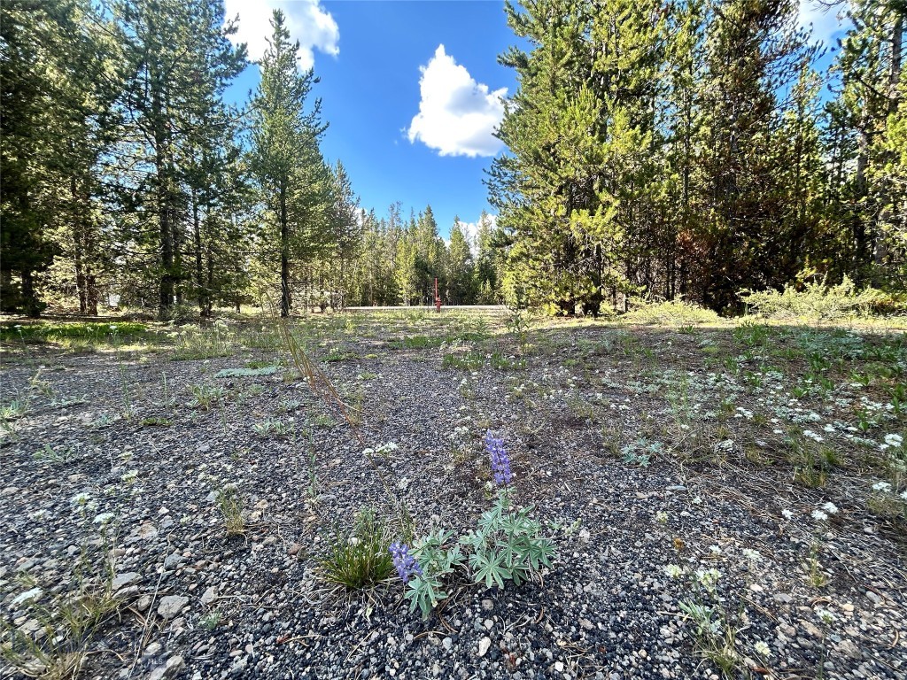 518 Apollinaris Property Photo 7