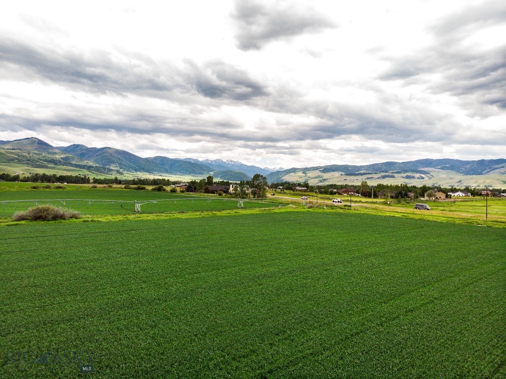 Tbd De Rham Valley Drive Property Photo 12
