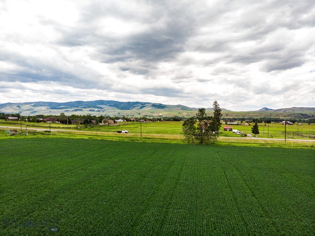 Tbd De Rham Valley Drive Property Photo 13