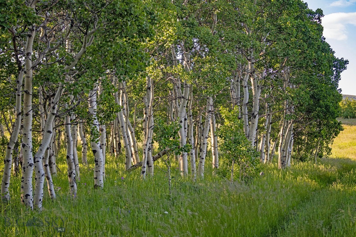 Tbd Hwy 89 Property Photo 14