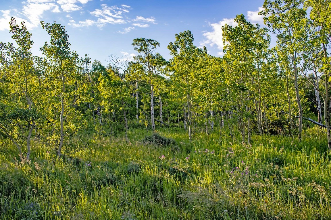 Tbd Hwy 89 Property Photo 15
