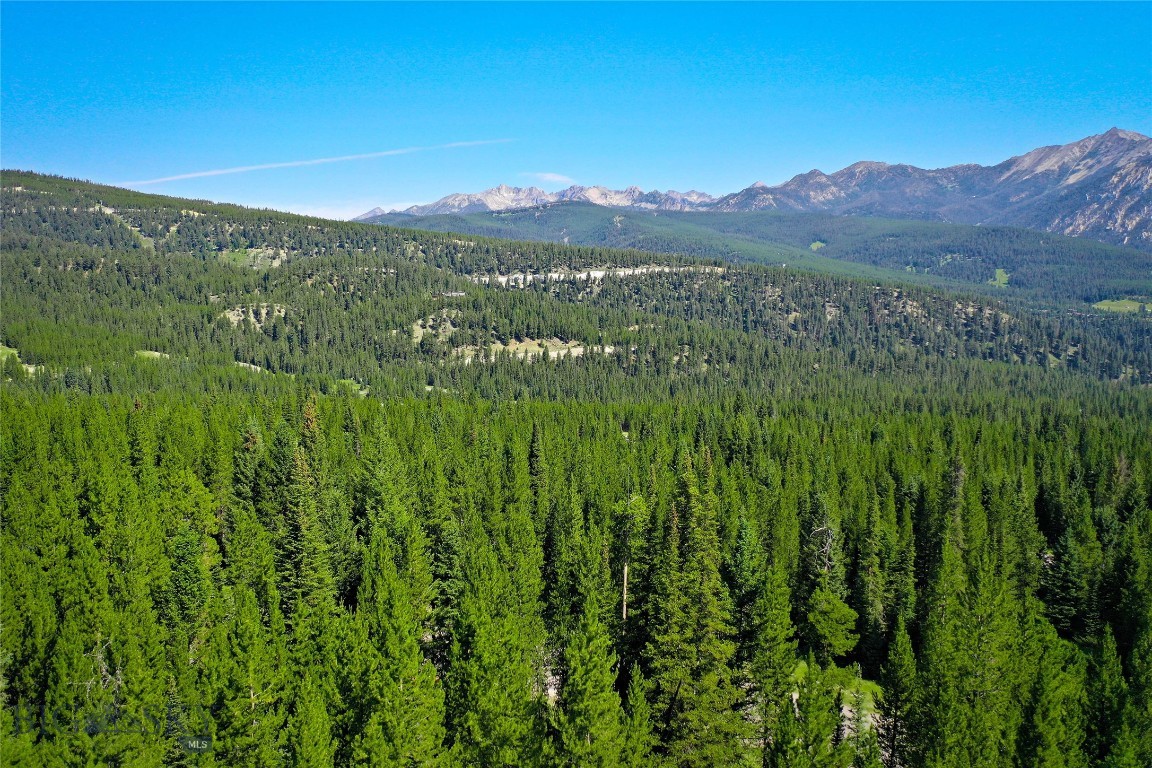 Tbd Bitterbrush Trail Lot 47 Property Photo 7