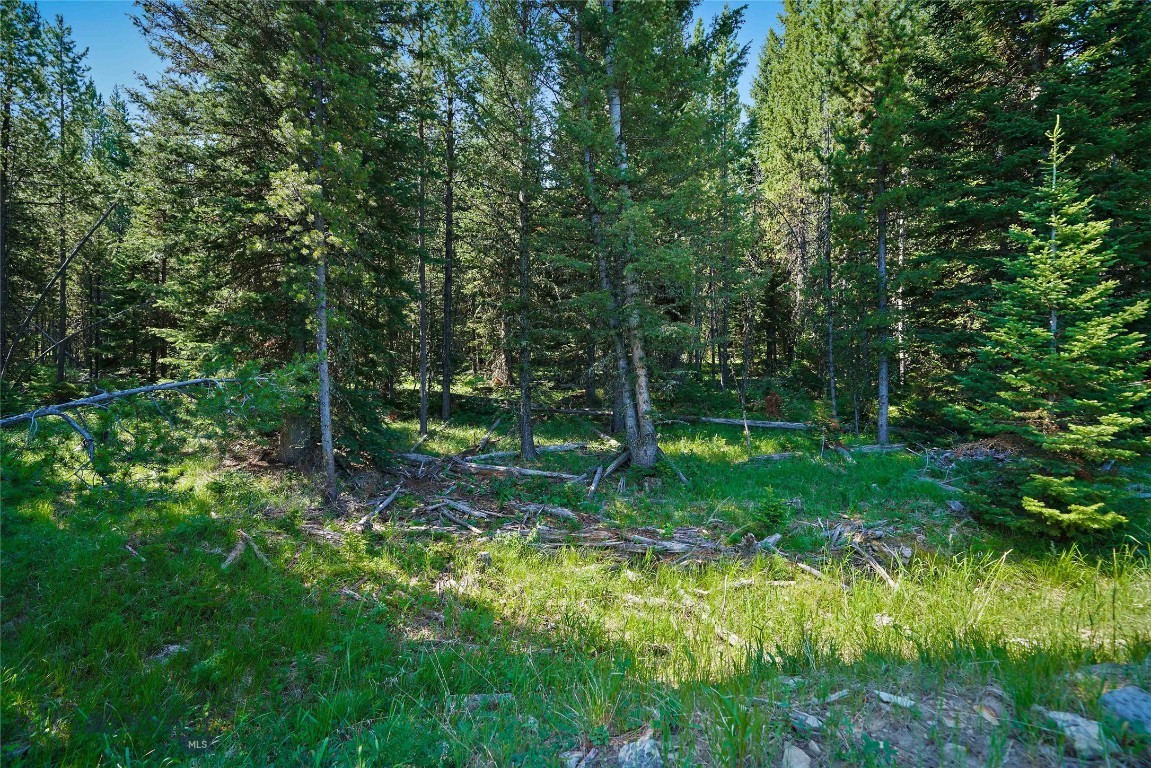 Tbd Bitterbrush Trail Lot 47 Property Photo 31