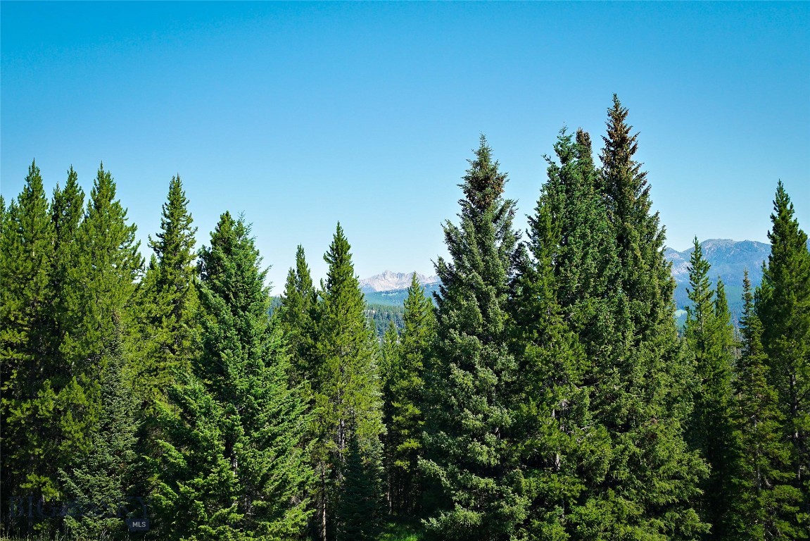 Tbd Bitterbrush Trail Lot 47 Property Photo 33