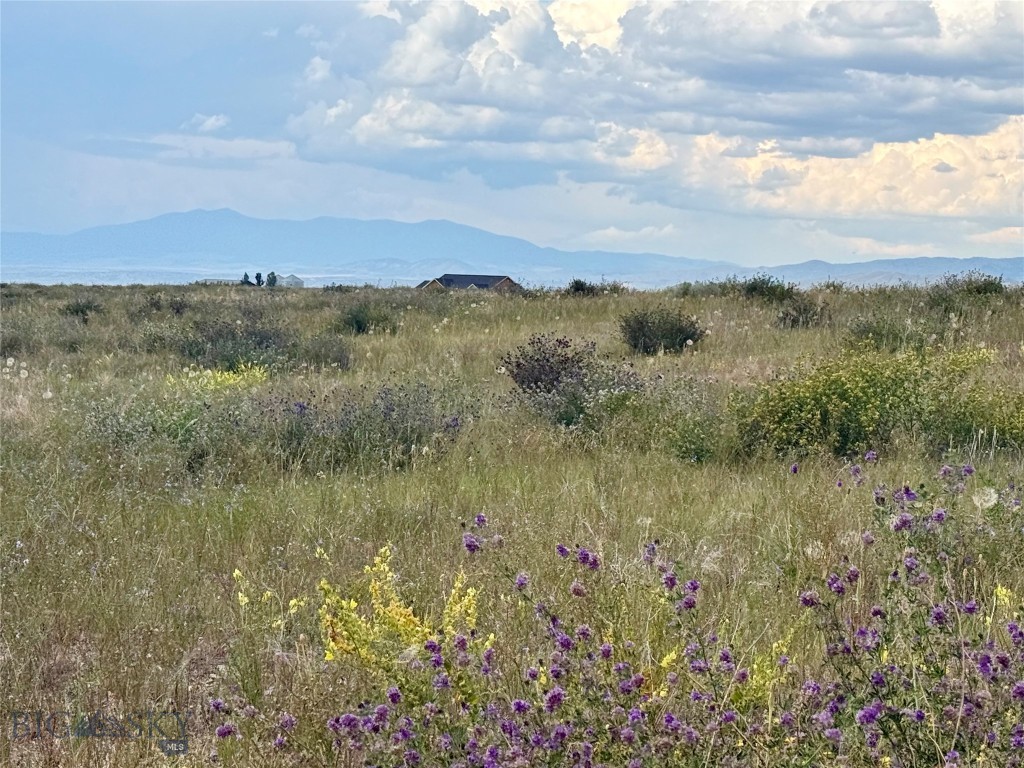 40 Buffalo Jump Trail Property Photo 3