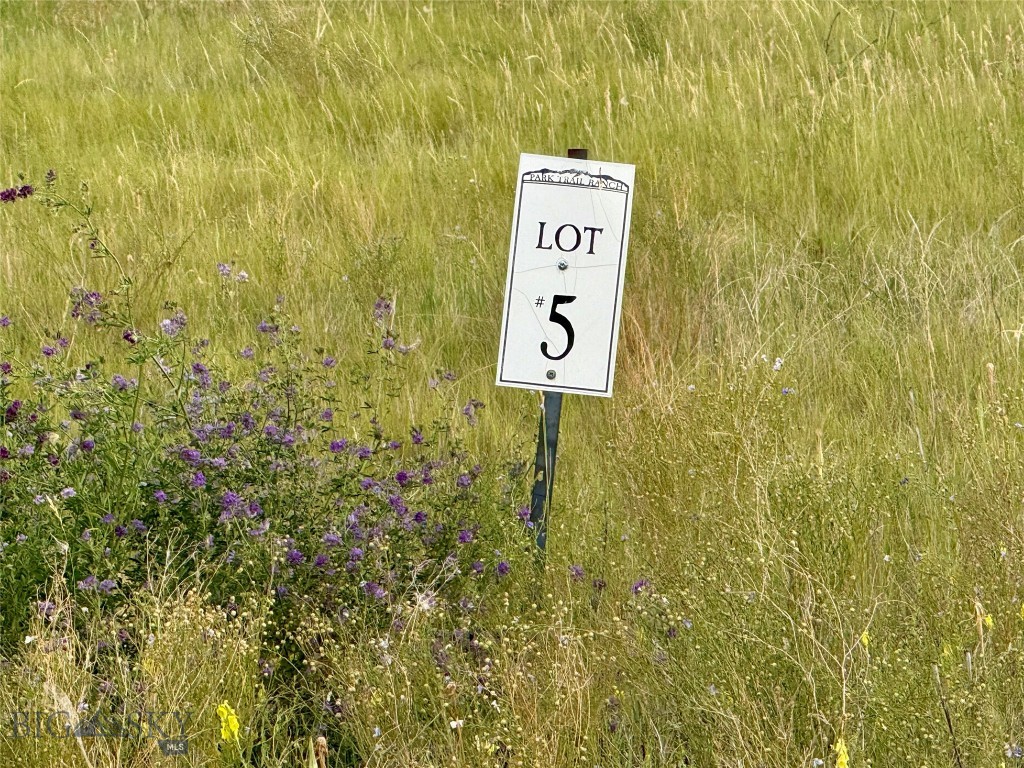 40 Buffalo Jump Trail Property Photo 5
