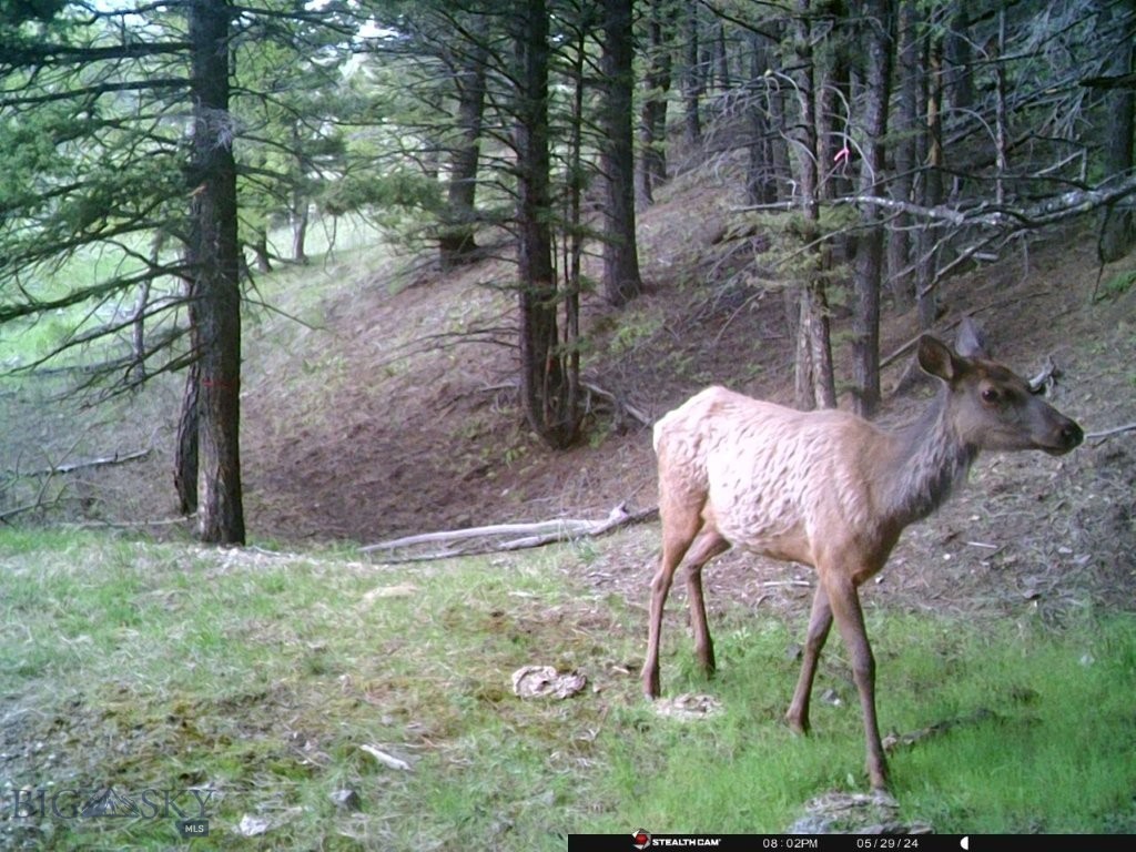 Banner Clancy Creek Road Property Photo 6