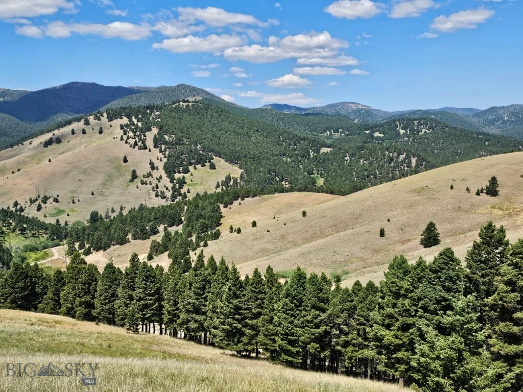 Banner Clancy Creek Road Property Photo 7