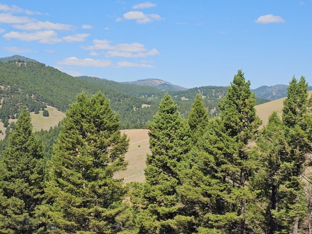 Banner Clancy Creek Road Property Photo 14