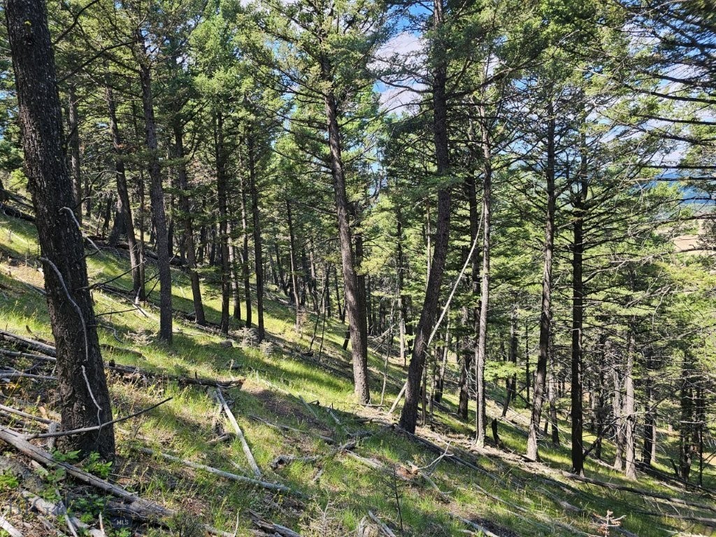 Banner Clancy Creek Road Property Photo 25