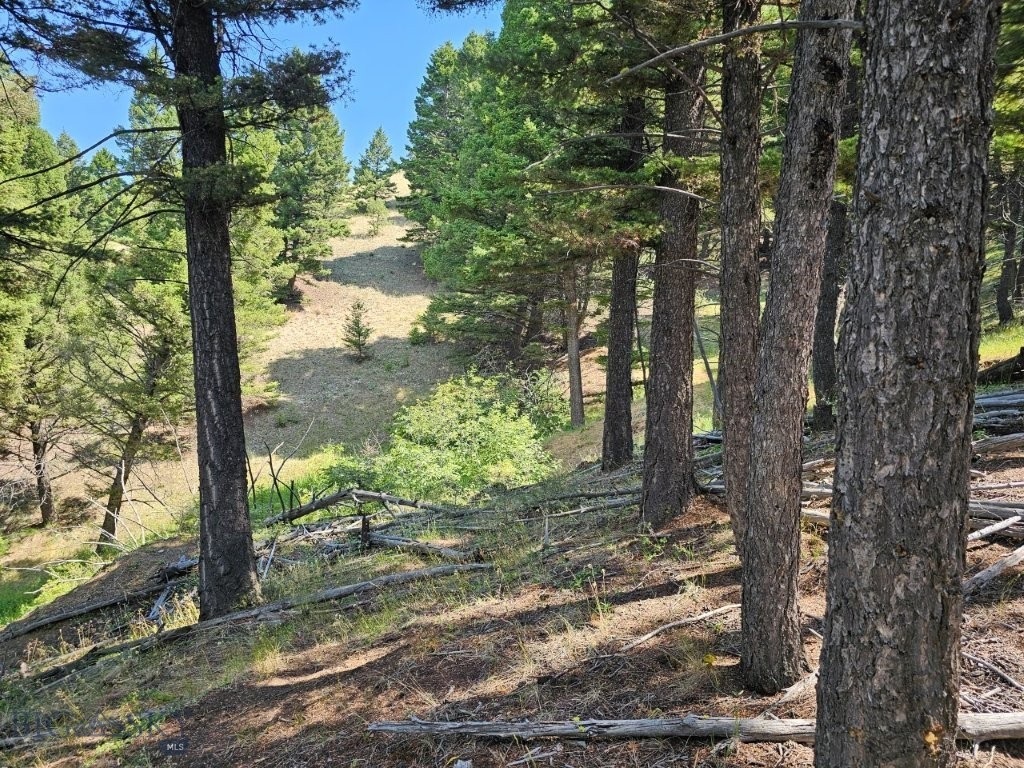Banner Clancy Creek Road Property Photo 26