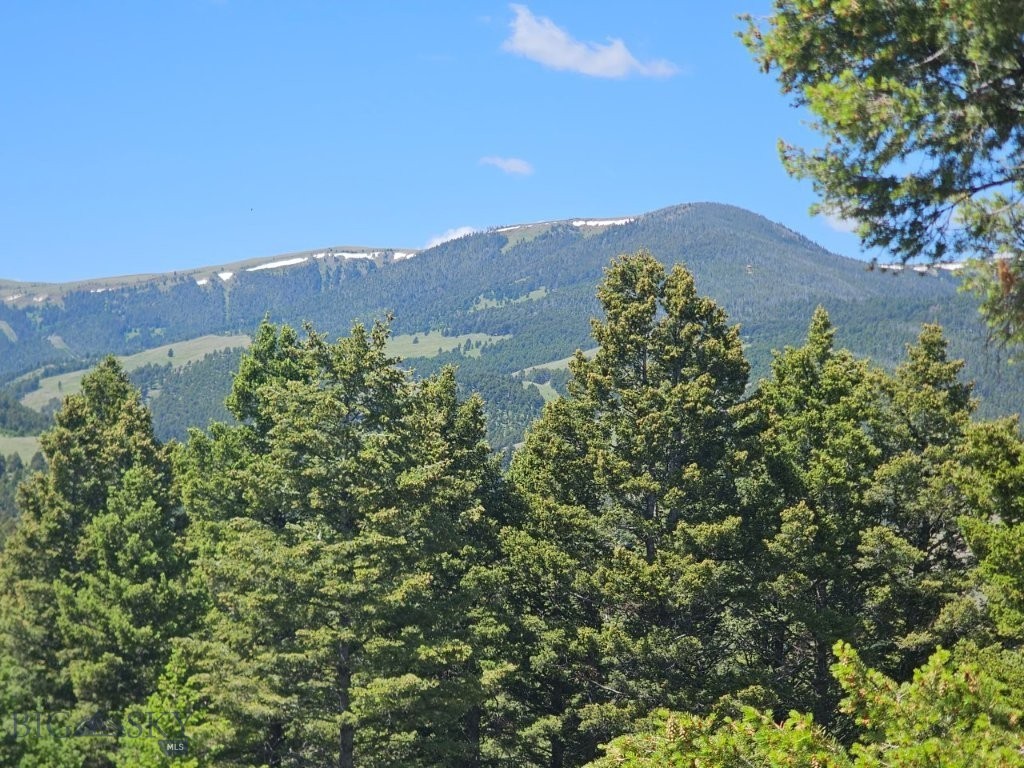 Banner Clancy Creek Road Property Photo 27
