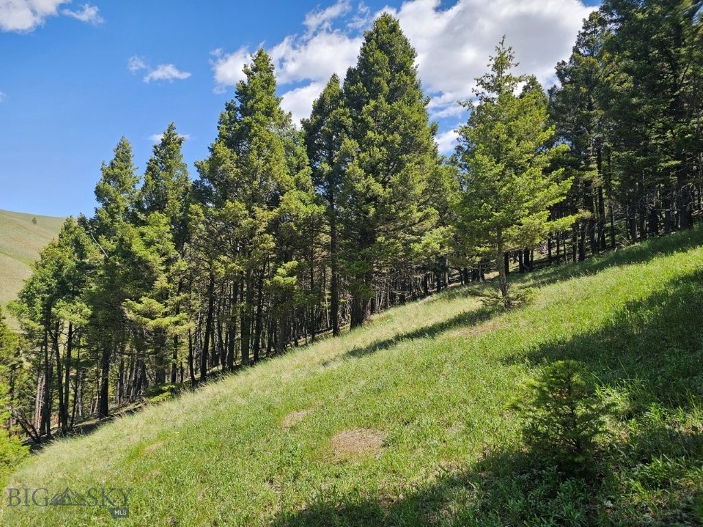 Banner Clancy Creek Road Property Photo 28