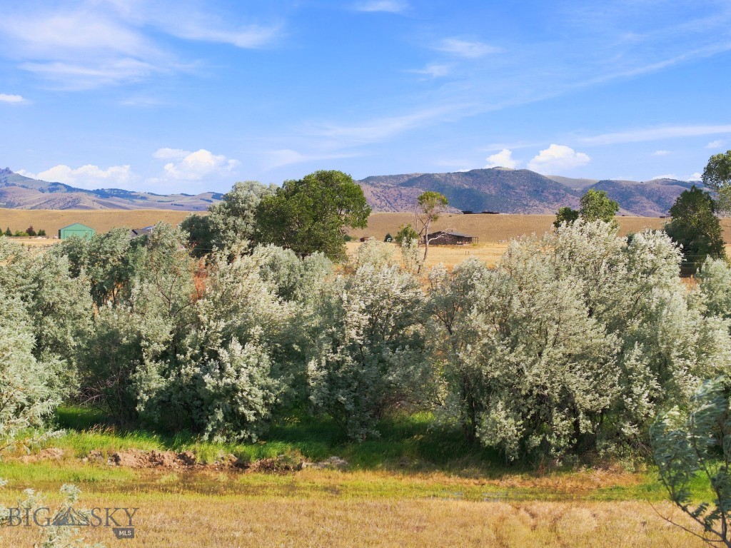 15 Shelter Belt Property Photo 13