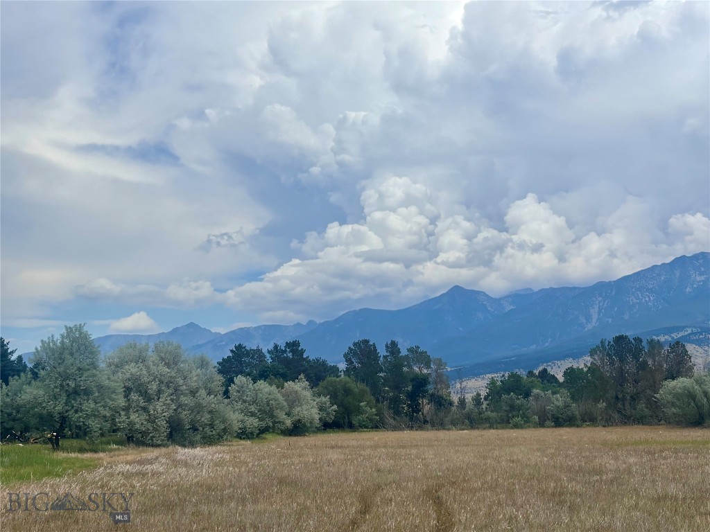 15 Shelter Belt Property Photo 19