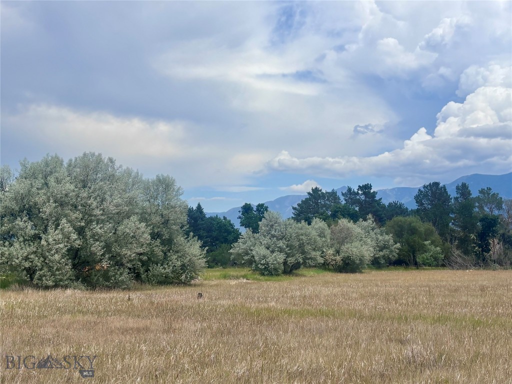 15 Shelter Belt Property Photo 20