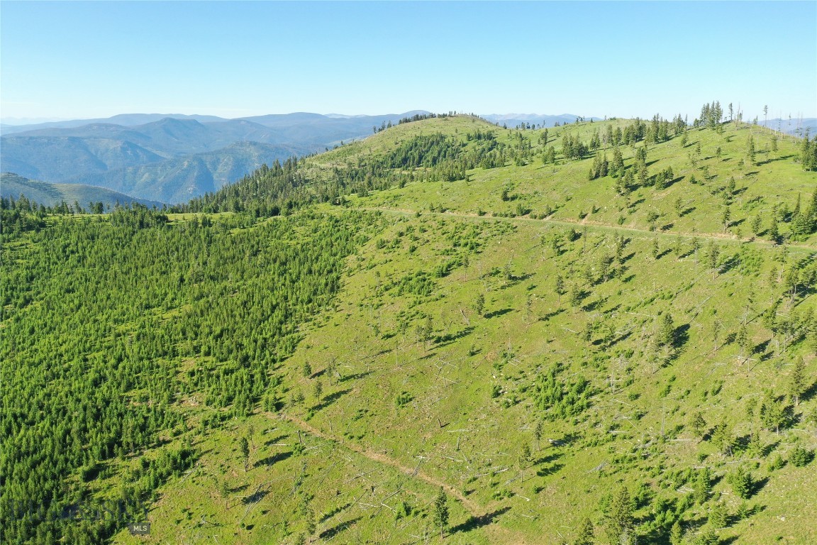 1 Tract, Garnet Range Property Photo 7