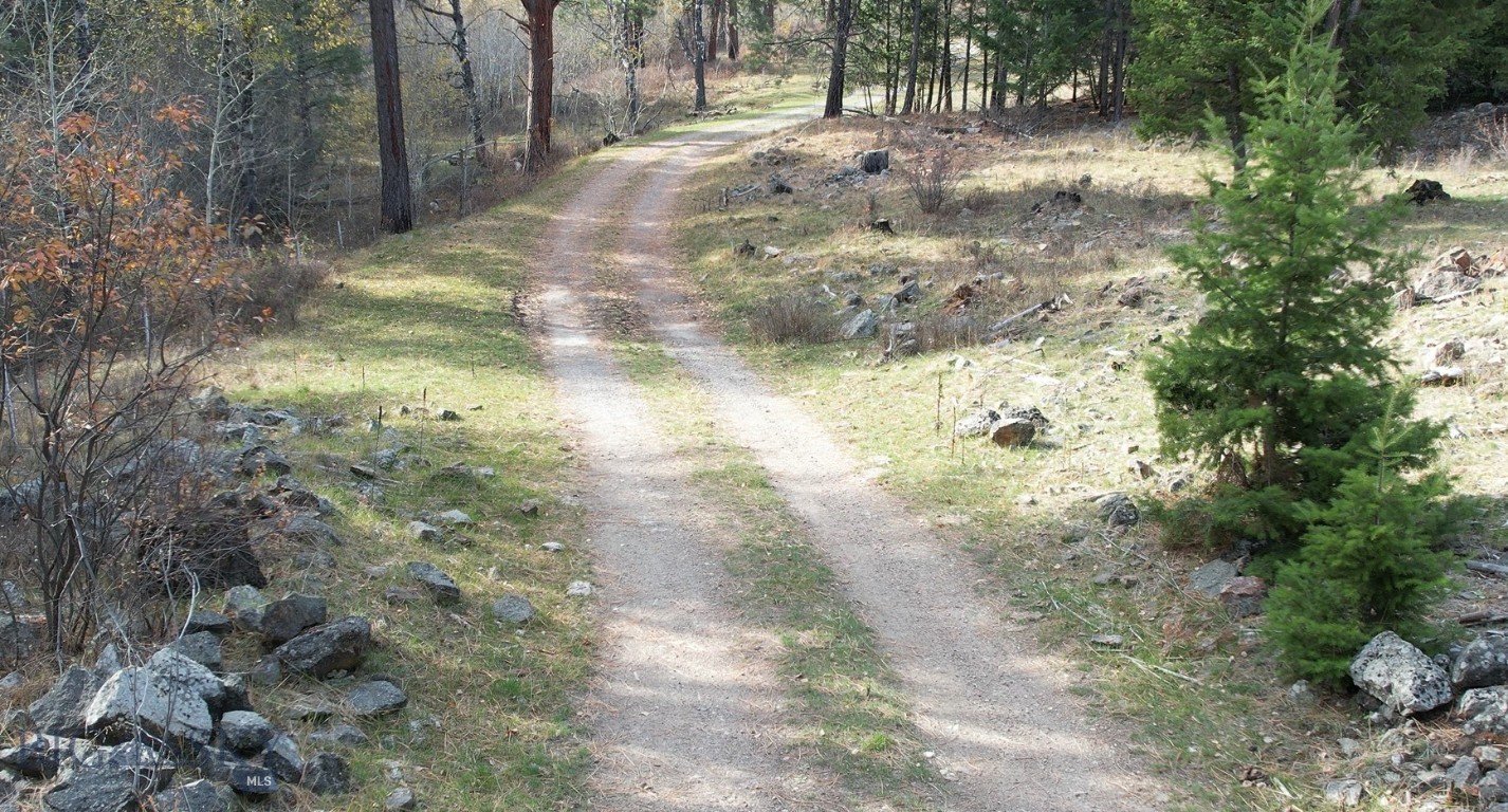 1 Tract, Bull Elk Property Photo 5