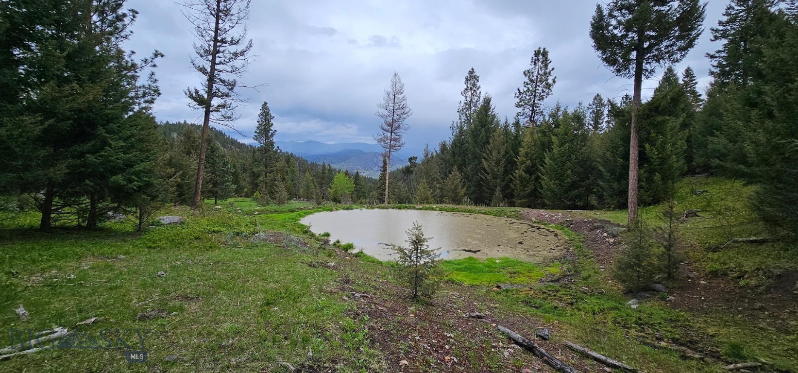 4 Tract, Bull Elk Property Photo 2
