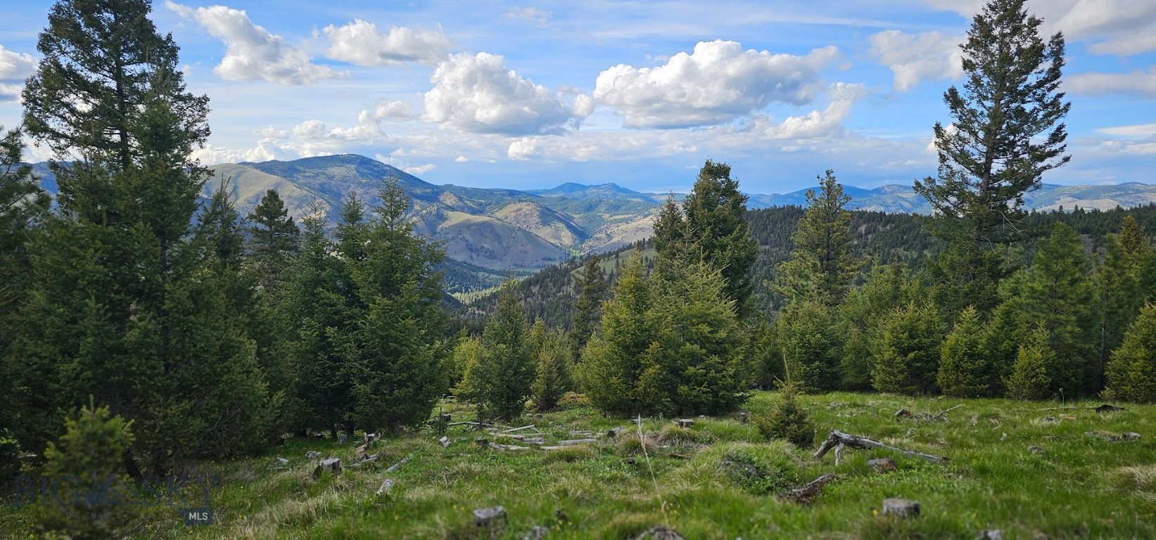 4 Tract, Bull Elk Property Photo 5