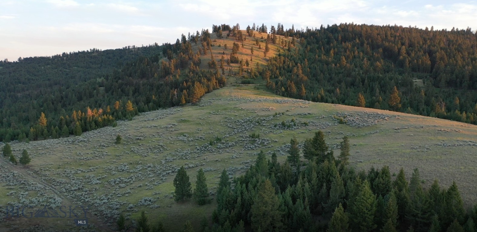 4 Tract, Bull Elk Property Photo 8