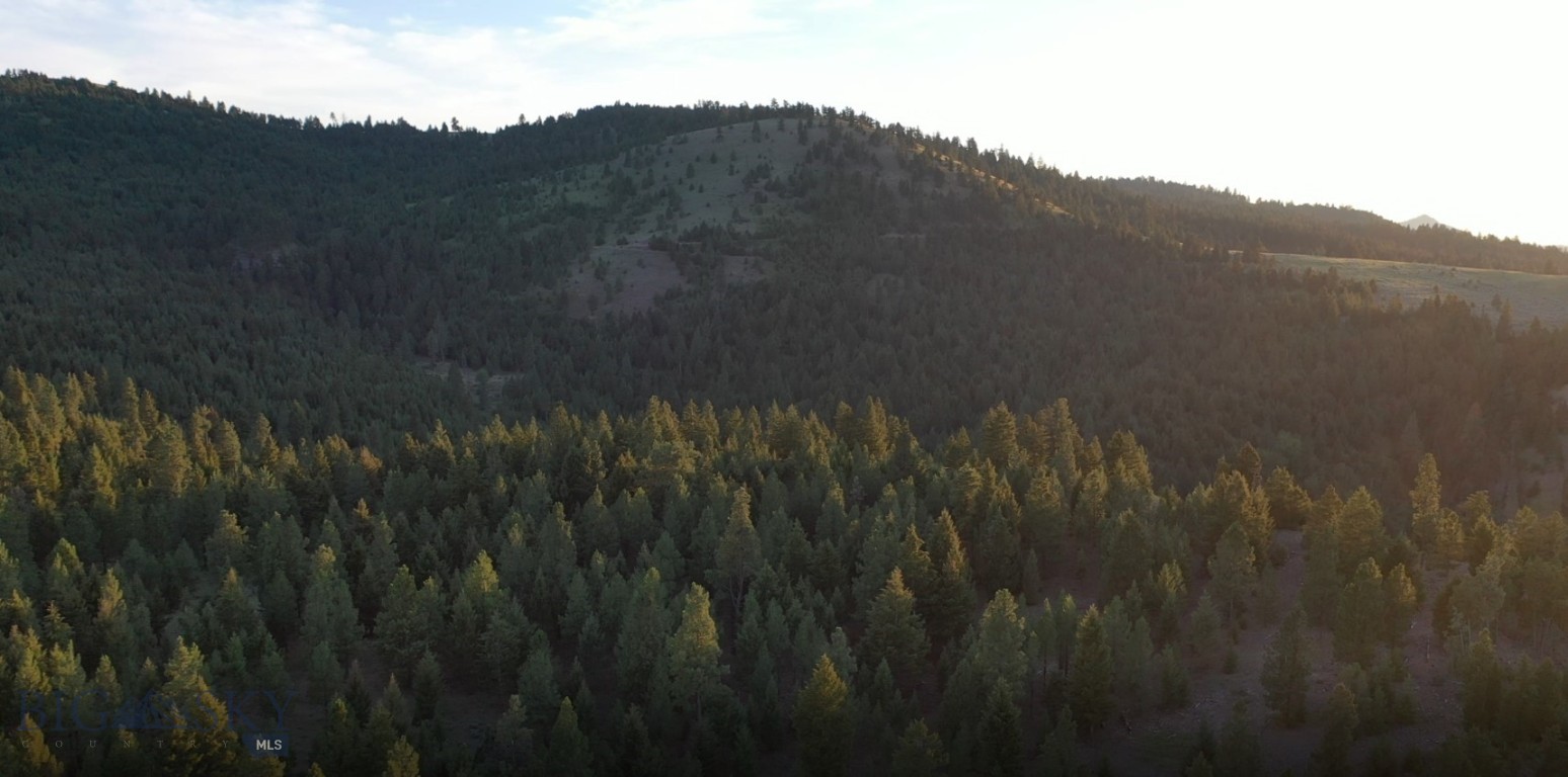 4 Tract, Bull Elk Property Photo 9