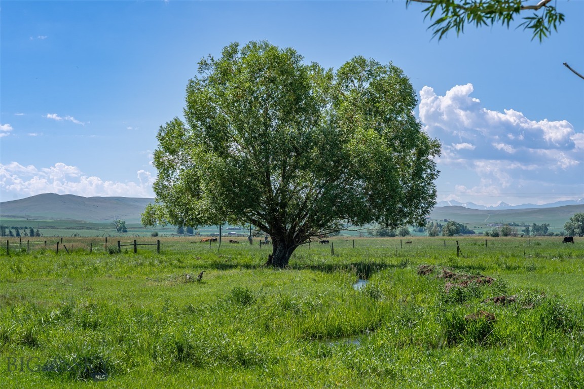 7770 Old Yellowstone Trail Property Photo 55