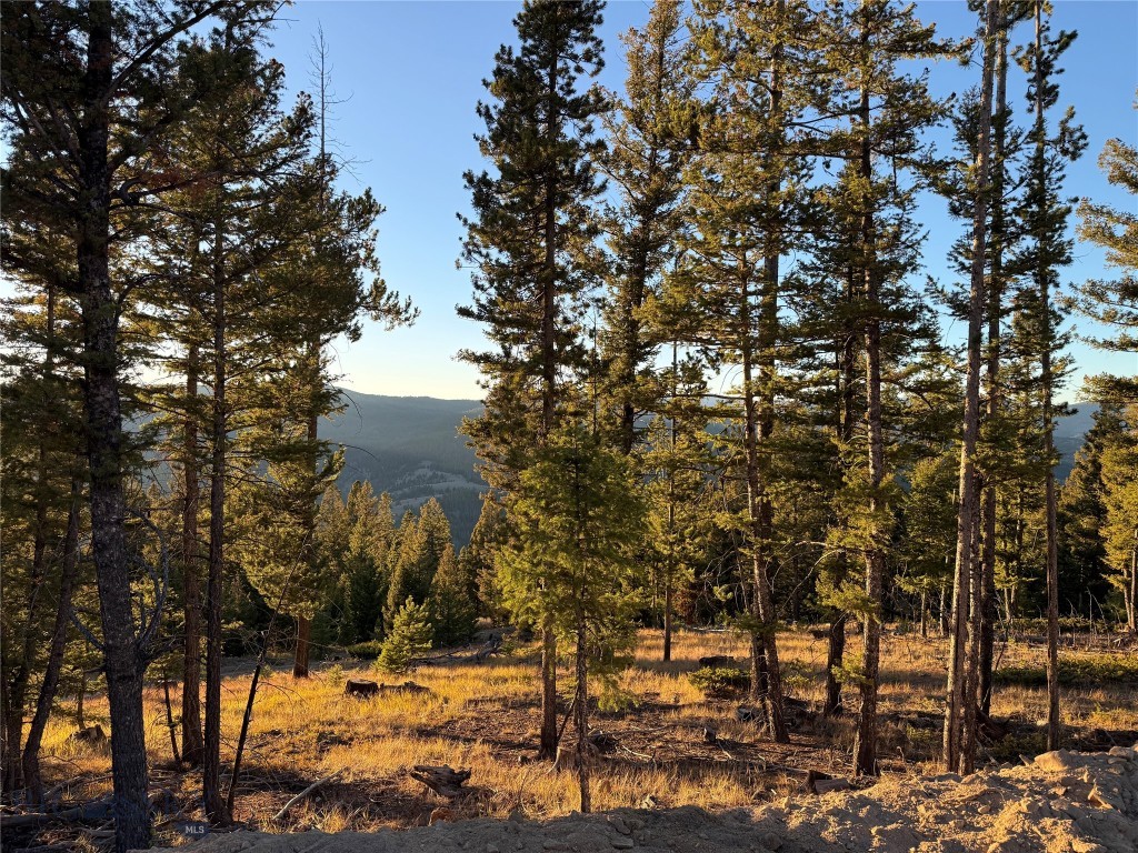 Lot 8 Ruby Mine Road Property Photo 5