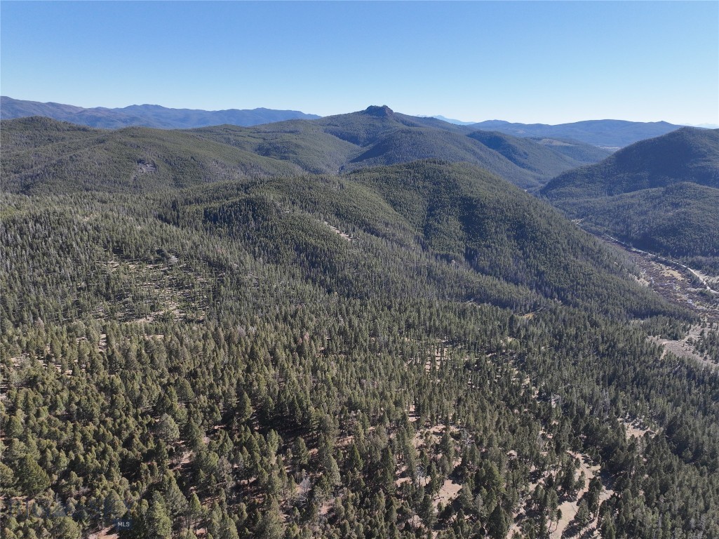 Lot 8 Ruby Mine Road Property Photo 11