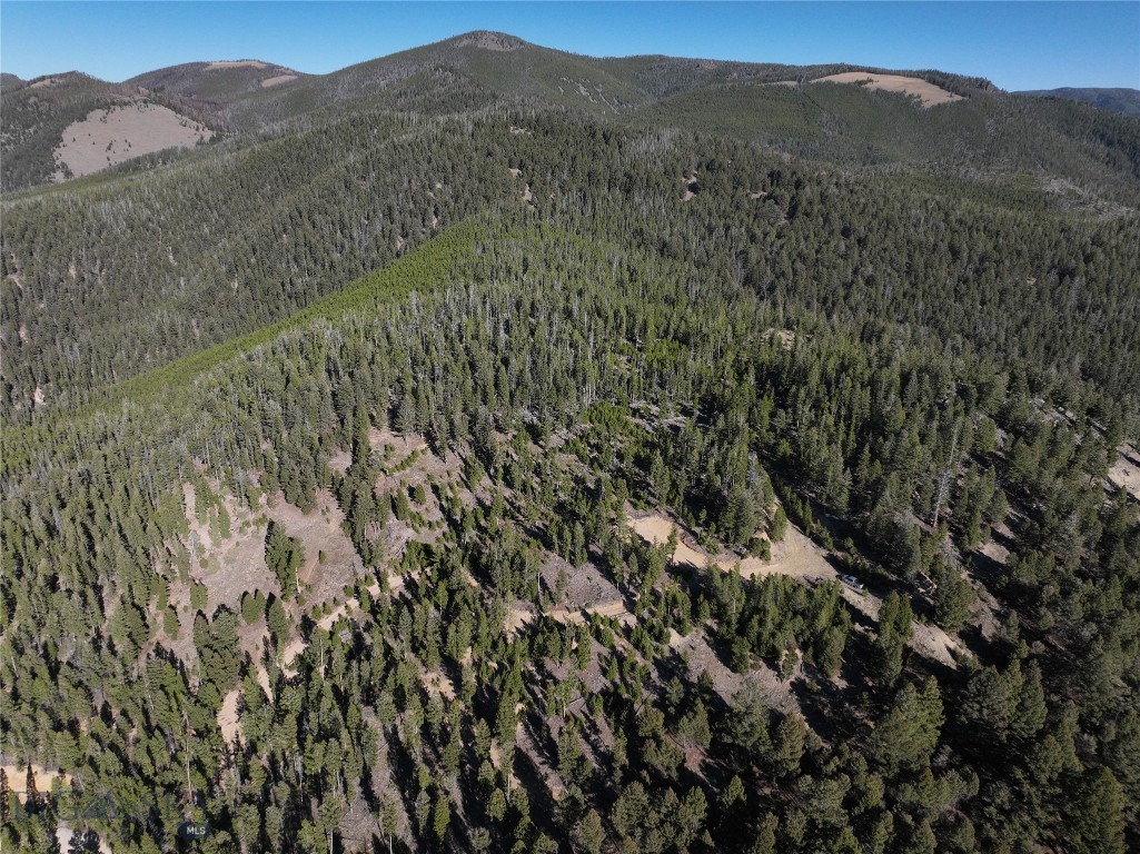 Lot 8 Ruby Mine Road Property Photo 12