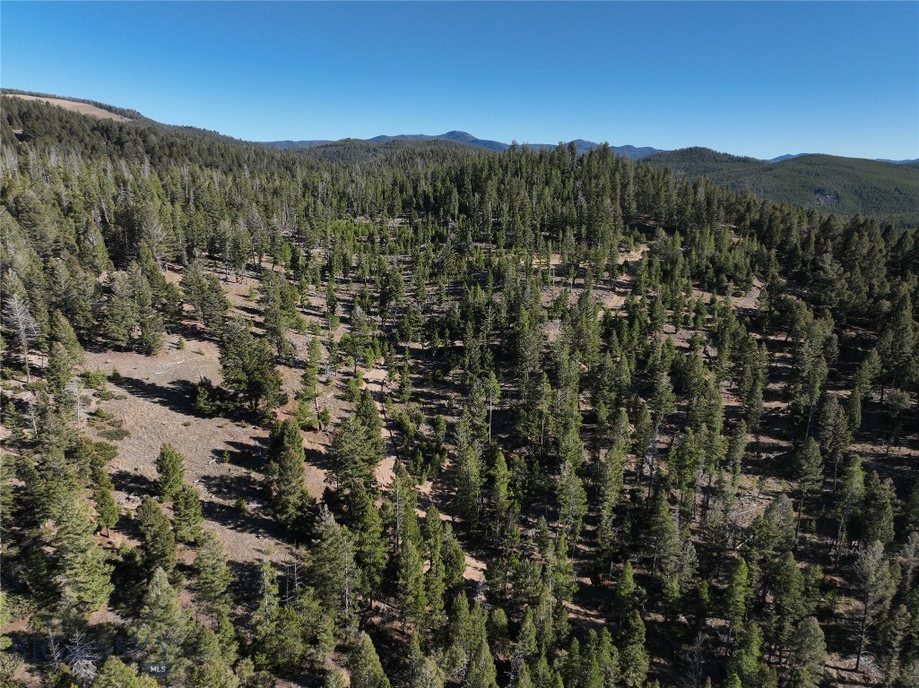 Lot 8 Ruby Mine Road Property Photo 13