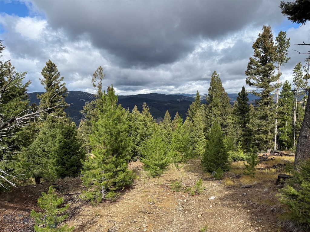 Lot 8 Ruby Mine Road Property Photo 16