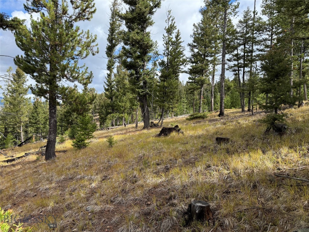Lot 8 Ruby Mine Road Property Photo 17