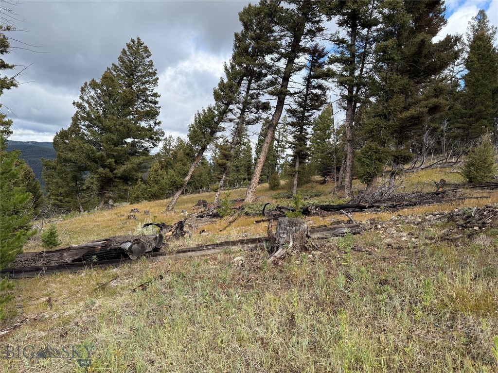 Lot 8 Ruby Mine Road Property Photo 18