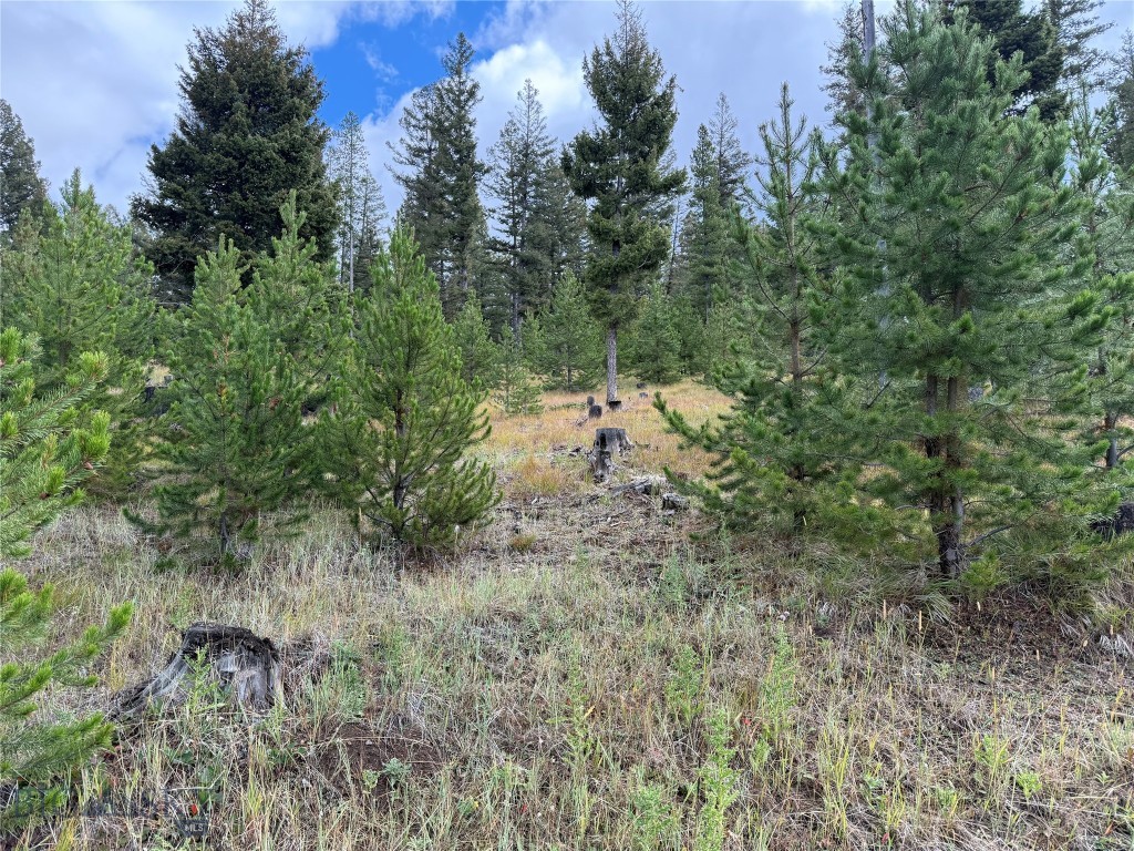 Lot 8 Ruby Mine Road Property Photo 19