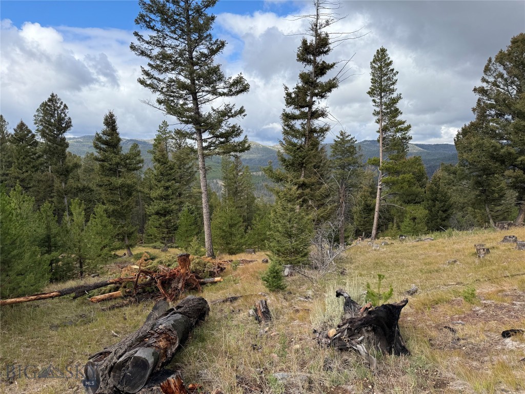 Lot 8 Ruby Mine Road Property Photo 20