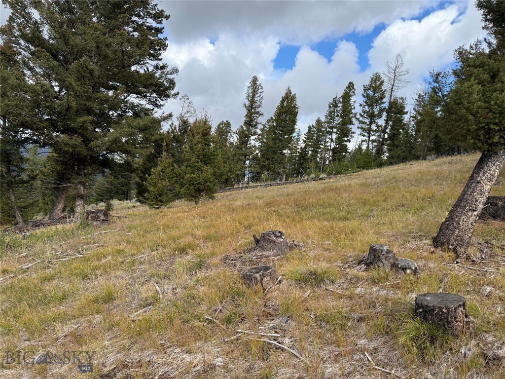 Lot 8 Ruby Mine Road Property Photo 21