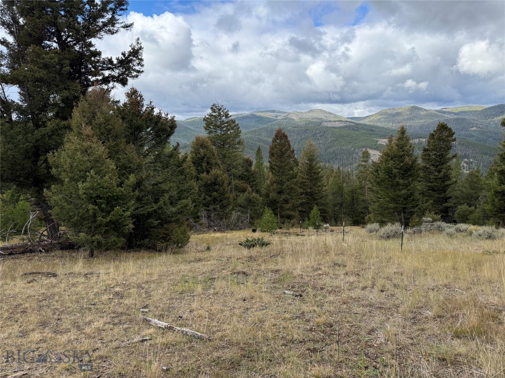 Lot 8 Ruby Mine Road Property Photo 22
