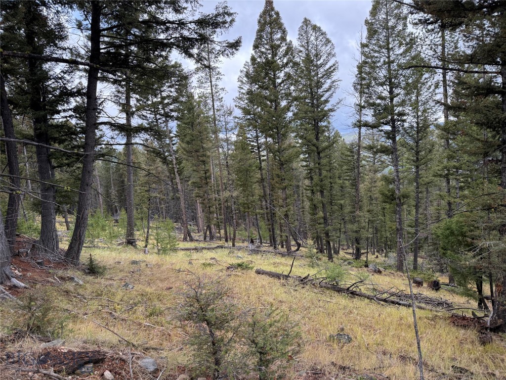 Lot 8 Ruby Mine Road Property Photo 23