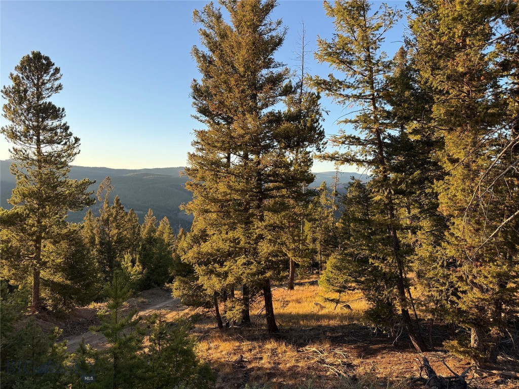 Lot 8 Ruby Mine Road Property Photo 24