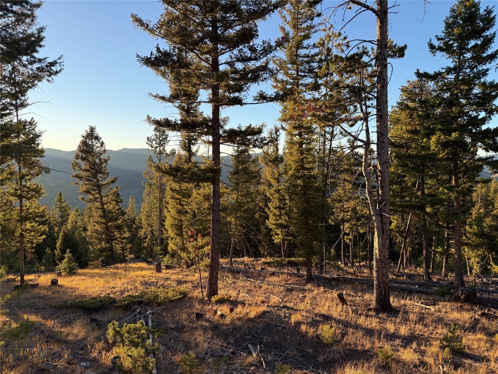 Lot 8 Ruby Mine Road Property Photo 26