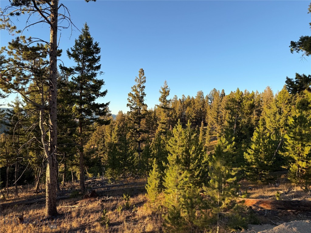 Lot 8 Ruby Mine Road Property Photo 27