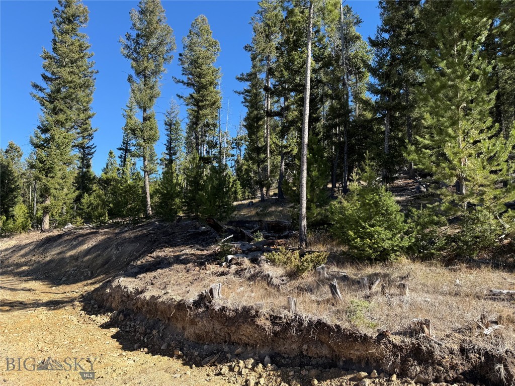 Lot 8 Ruby Mine Road Property Photo 29