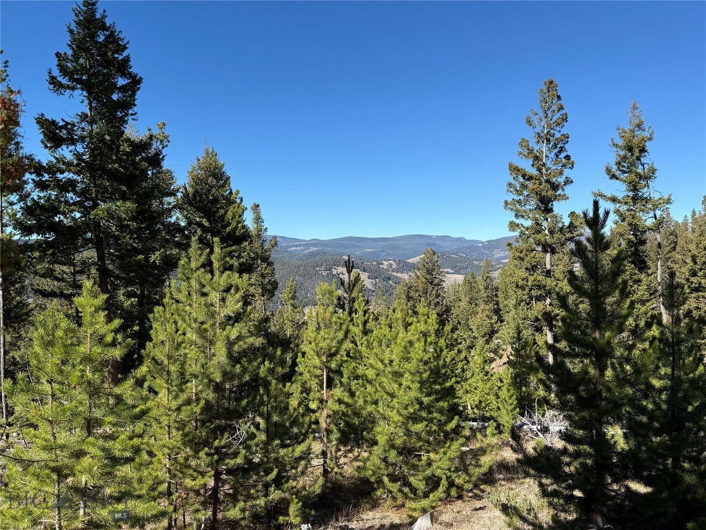 Lot 8 Ruby Mine Road Property Photo 34