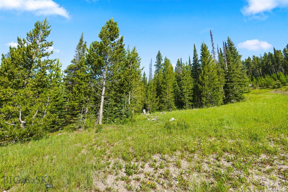109a Beehive Basin Road Property Photo 19