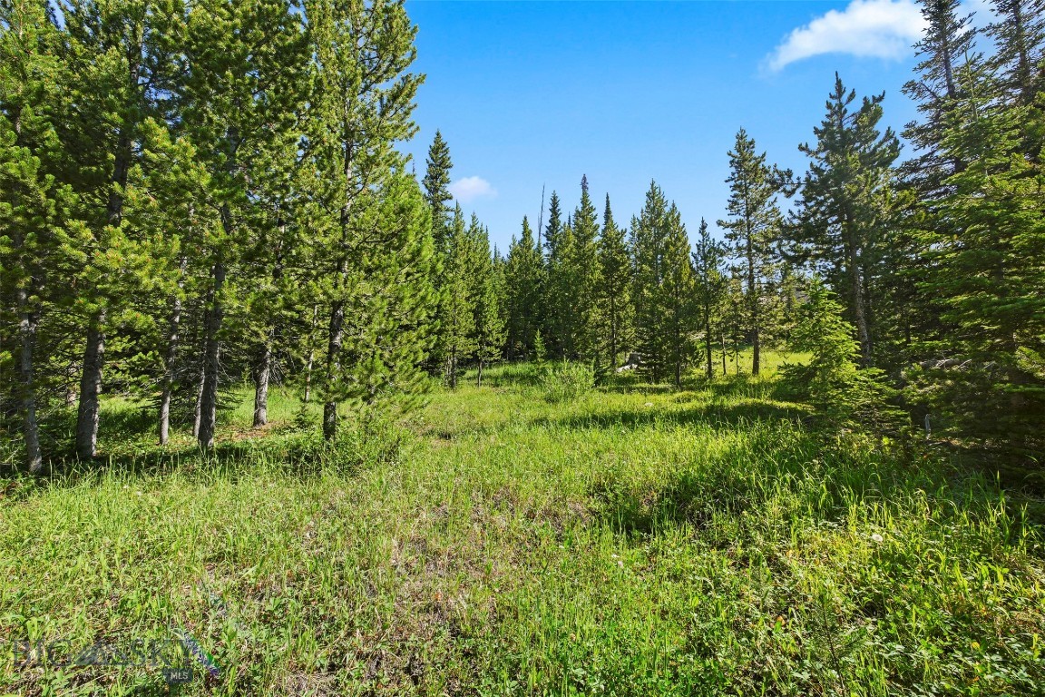 109a Beehive Basin Road Property Photo 20