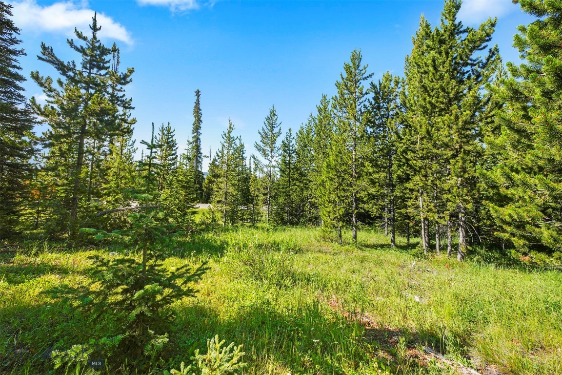 109a Beehive Basin Road Property Photo 21