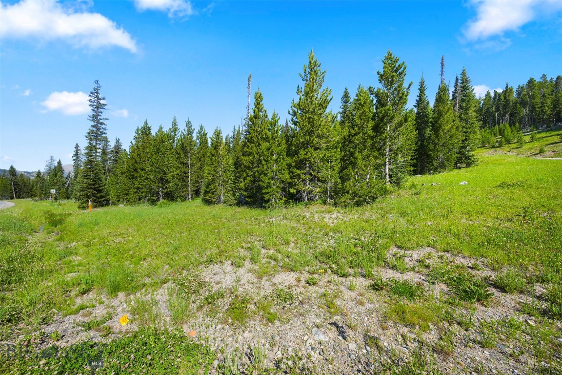109a Beehive Basin Road Property Photo 22